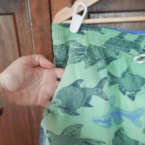 Boden Light Green Fish Print Mesh Liner Swim Trunks Size 36 - Picture 5 of 11